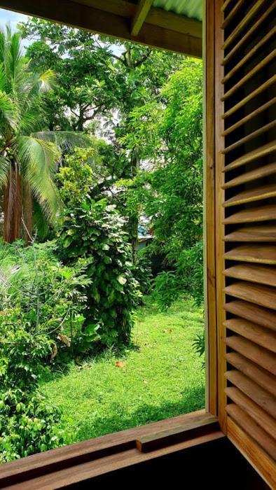 Old Bocasso Hostel Bocas Town Kültér fotó